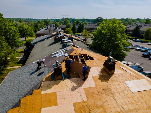 Trusted Roofing service in Ruther Glen, VA - Brentwood Metal Roofing